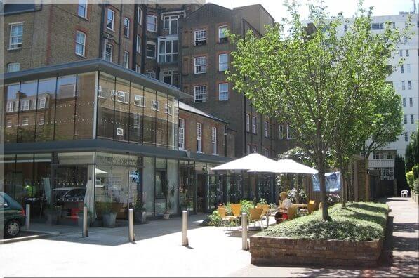 New-Horizons-Chelsea-e1499677517507