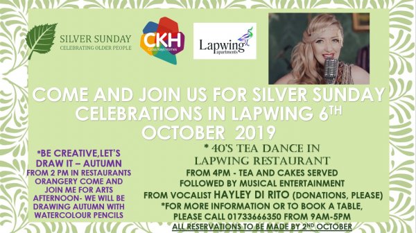 lapwing-silver-saturday-e1570365584766